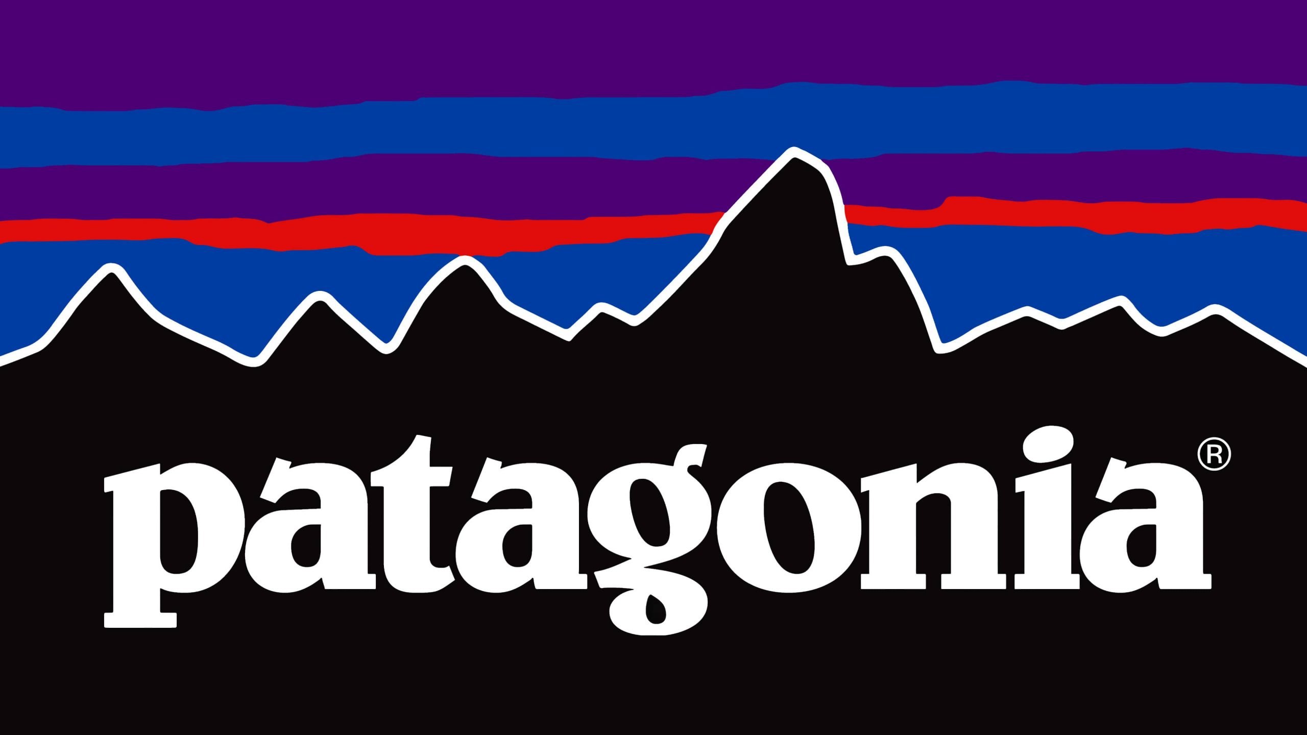 Patagonia Hip Pack